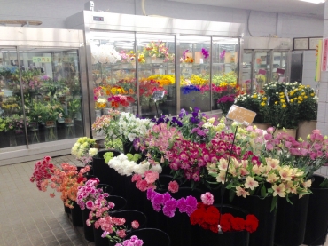 「山口花店」　（佐賀県伊万里市）の花屋店舗写真3