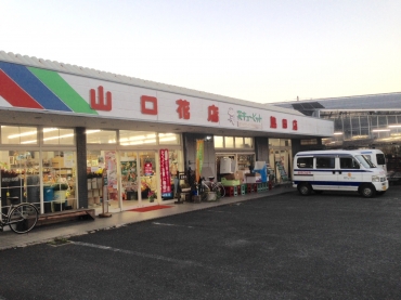 「山口花店」　（佐賀県伊万里市）の花屋店舗写真1