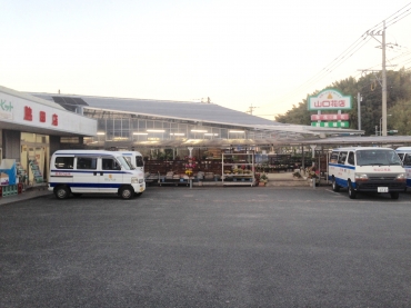 「山口花店」　（佐賀県伊万里市）の花屋店舗写真2